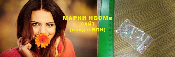 стафф Вязьма