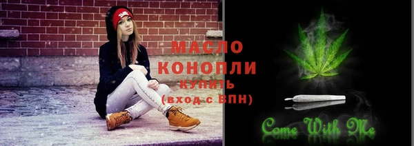 меф Горняк