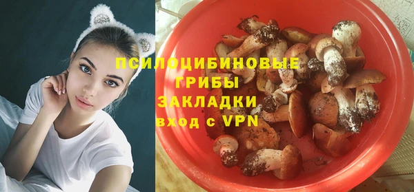 меф Горняк