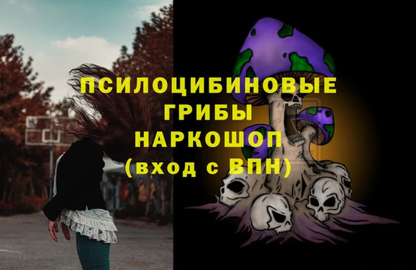 меф Горняк