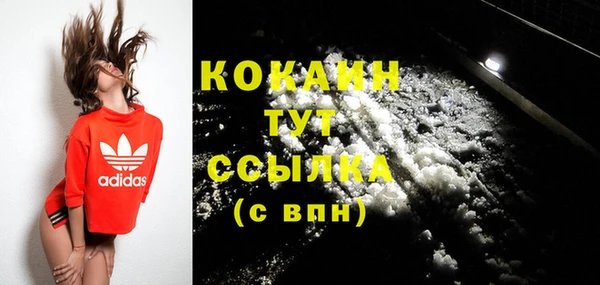 стафф Вязьма